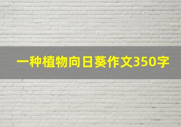 一种植物向日葵作文350字