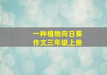 一种植物向日葵作文三年级上册