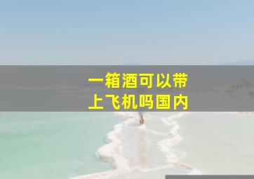 一箱酒可以带上飞机吗国内