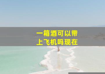 一箱酒可以带上飞机吗现在