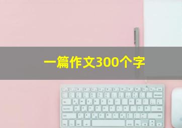 一篇作文300个字