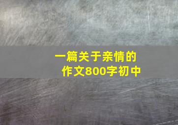 一篇关于亲情的作文800字初中