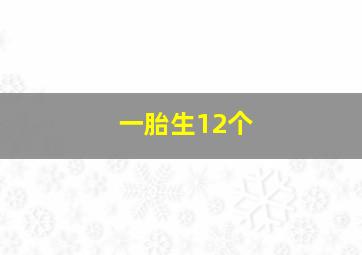 一胎生12个