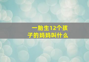 一胎生12个孩子的妈妈叫什么