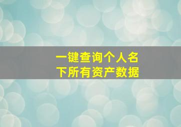 一键查询个人名下所有资产数据