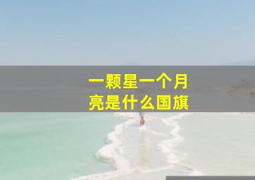 一颗星一个月亮是什么国旗