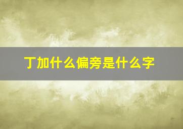 丁加什么偏旁是什么字