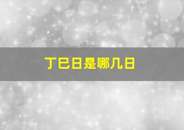 丁巳日是哪几日