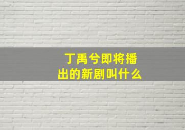 丁禹兮即将播出的新剧叫什么