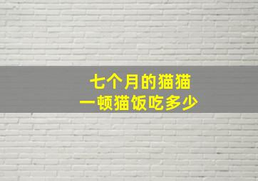 七个月的猫猫一顿猫饭吃多少