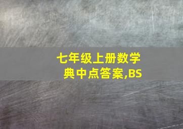 七年级上册数学典中点答案,BS