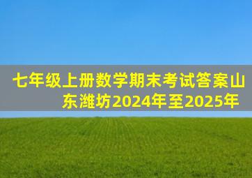 七年级上册数学期末考试答案山东潍坊2024年至2025年