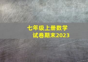 七年级上册数学试卷期末2023