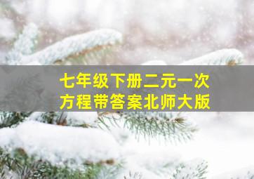 七年级下册二元一次方程带答案北师大版