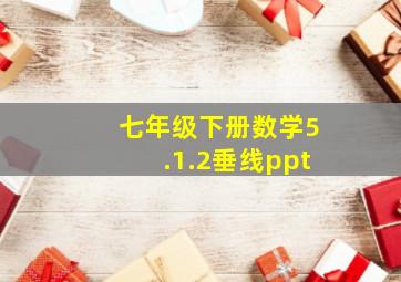 七年级下册数学5.1.2垂线ppt