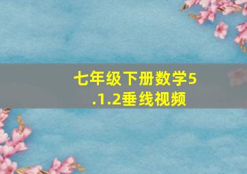 七年级下册数学5.1.2垂线视频