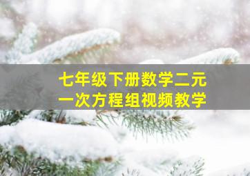 七年级下册数学二元一次方程组视频教学