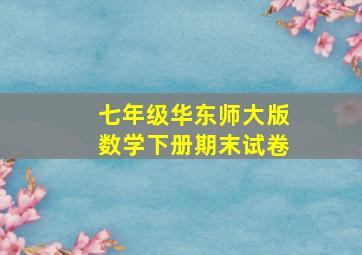 七年级华东师大版数学下册期末试卷