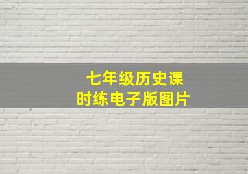 七年级历史课时练电子版图片