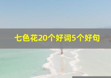 七色花20个好词5个好句