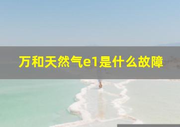 万和天然气e1是什么故障