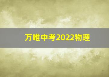 万唯中考2022物理