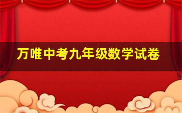 万唯中考九年级数学试卷