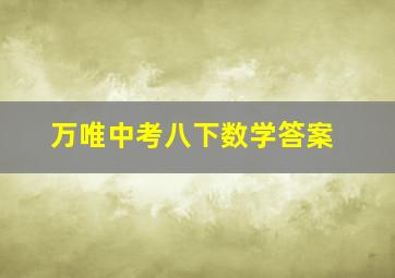 万唯中考八下数学答案