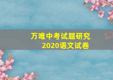 万唯中考试题研究2020语文试卷