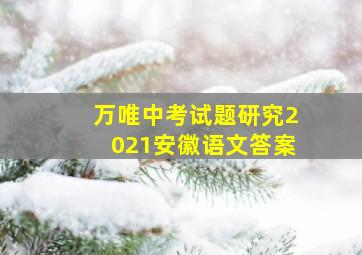 万唯中考试题研究2021安徽语文答案