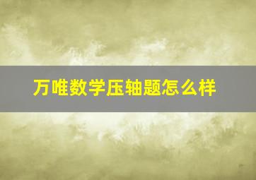 万唯数学压轴题怎么样