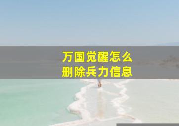 万国觉醒怎么删除兵力信息