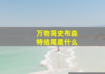 万物简史布森特结尾是什么