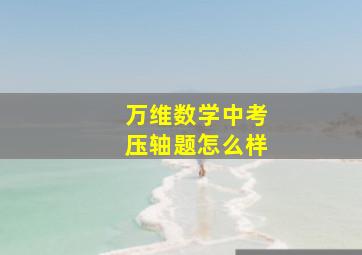 万维数学中考压轴题怎么样