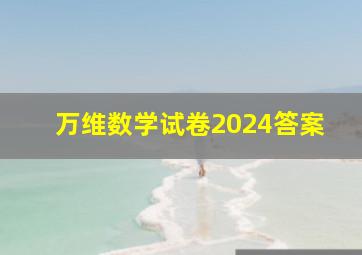 万维数学试卷2024答案