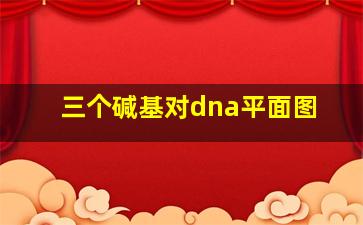 三个碱基对dna平面图