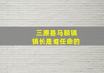 三原县马额镇镇长是谁任命的