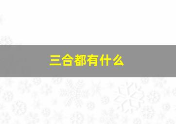 三合都有什么