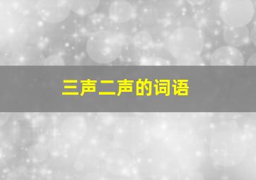 三声二声的词语