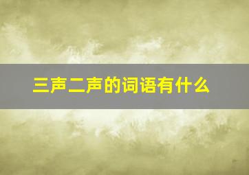 三声二声的词语有什么