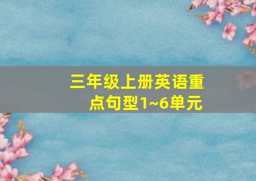 三年级上册英语重点句型1~6单元