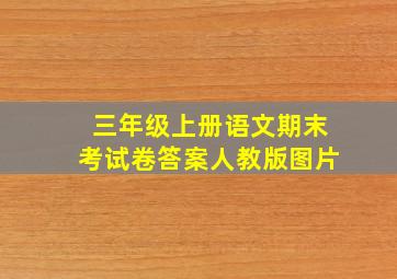 三年级上册语文期末考试卷答案人教版图片