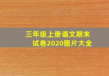 三年级上册语文期末试卷2020图片大全