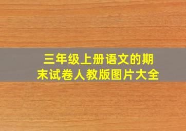 三年级上册语文的期末试卷人教版图片大全