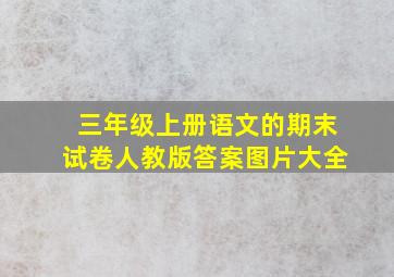 三年级上册语文的期末试卷人教版答案图片大全