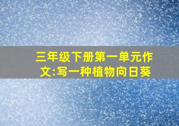 三年级下册第一单元作文:写一种植物向日葵