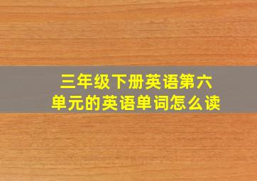 三年级下册英语第六单元的英语单词怎么读