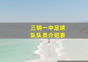 三明一中足球队队员介绍表