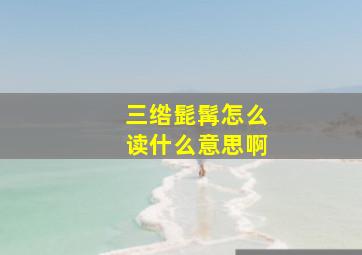 三绺髭髯怎么读什么意思啊