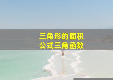 三角形的面积公式三角函数